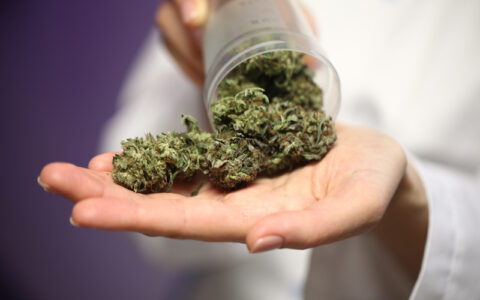 Cannabis Usage in the Perioperative Period: Anesthesia Update - CRH